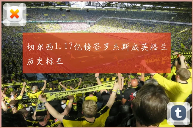 切尔西1.17亿镑签罗杰斯成英格兰历史标王