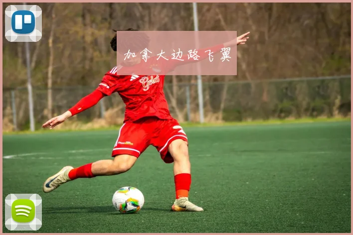 加拿大边路飞翼