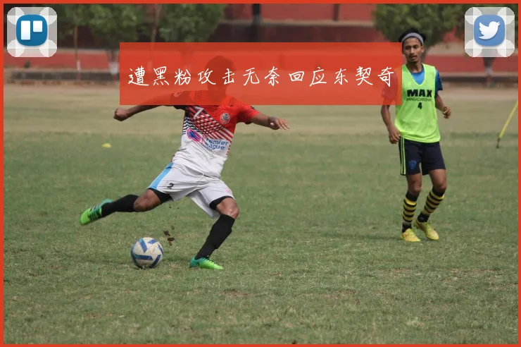 遭黑粉攻击无奈回应东契奇