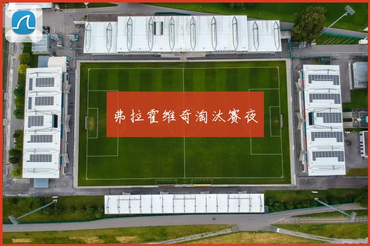 弗拉霍维奇淘汰赛夜