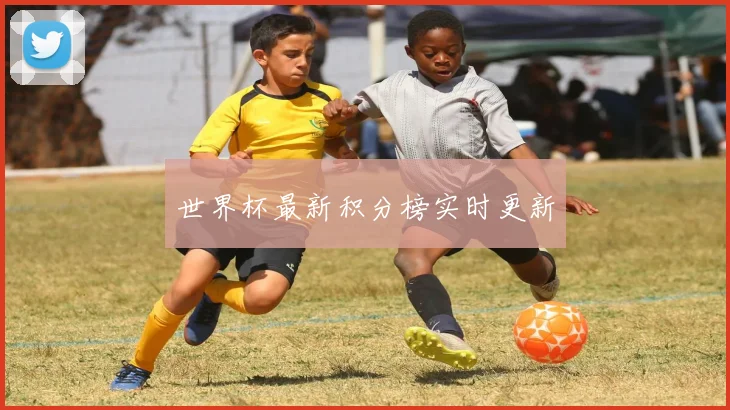 世界杯最新积分榜实时更新