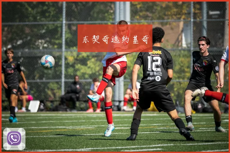 东契奇选约基奇