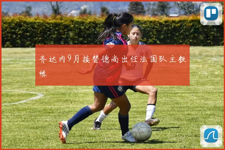 齐达内9月接替德尚出任法国队主教练