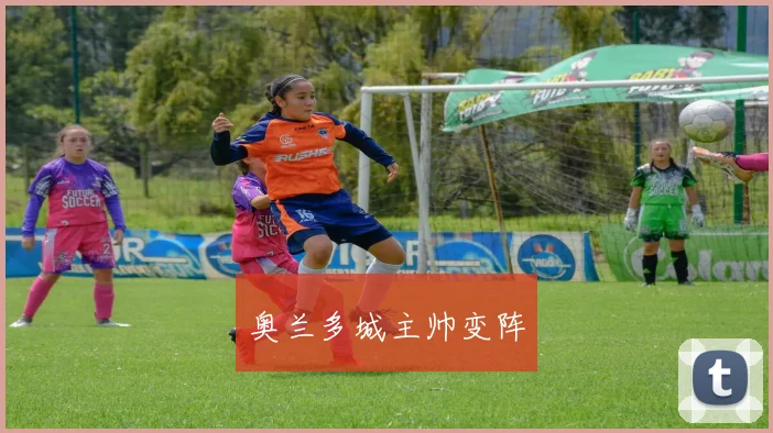 奥兰多城主帅变阵