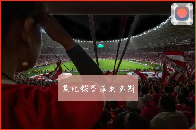 莱比锡签菲利克斯