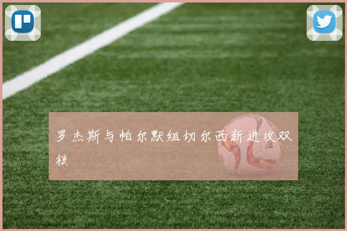 罗杰斯与帕尔默组切尔西新进攻双核