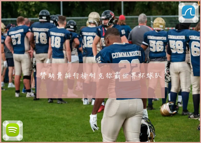 赞助费排行榜耐克称霸世界杯球队