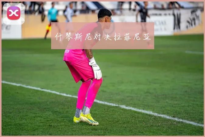 什琴斯尼对决拉菲尼亚