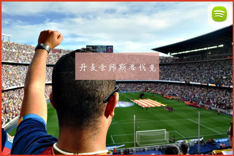 丹麦会师斯洛伐克