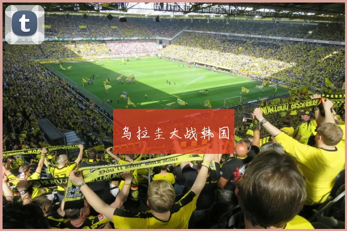 乌拉圭大战韩国