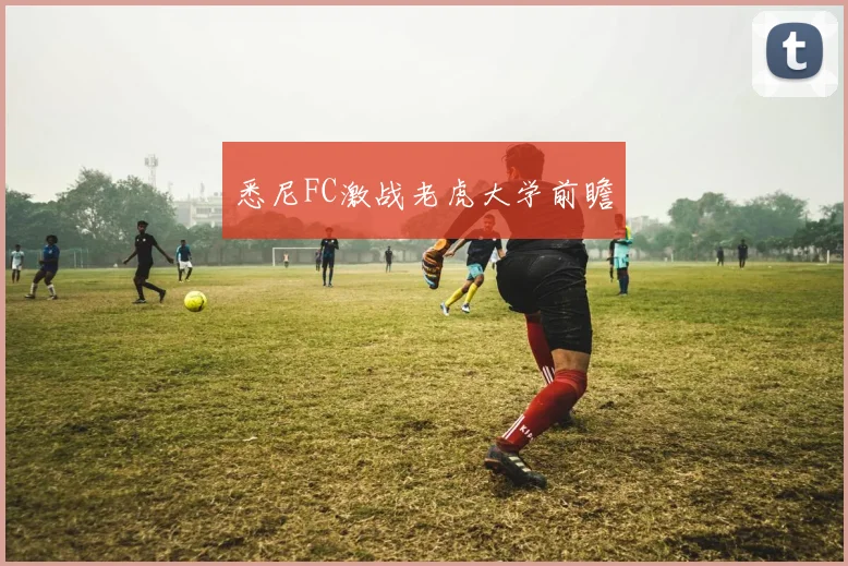 悉尼FC激战老虎大学前瞻