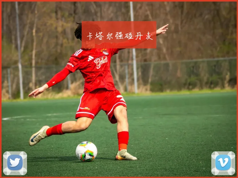 卡塔尔强碰丹麦