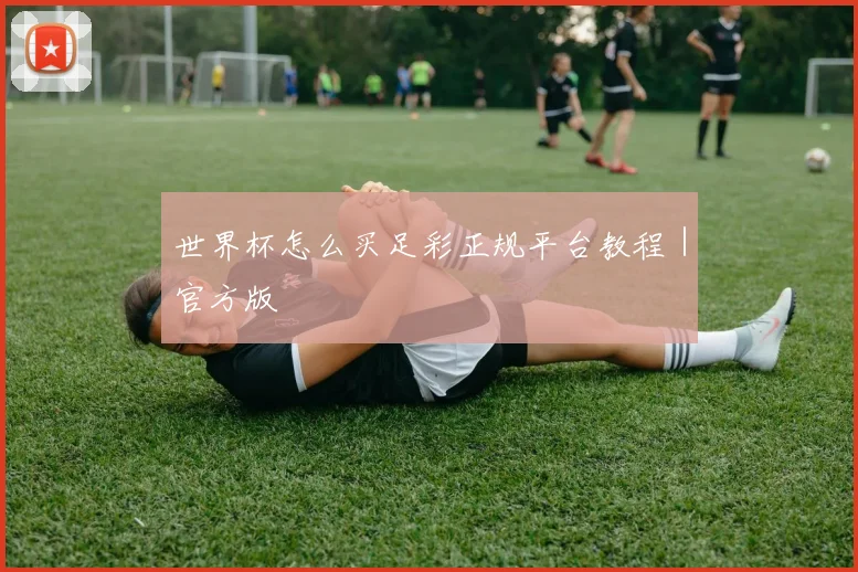 世界杯怎么买足彩正规平台教程｜官方版