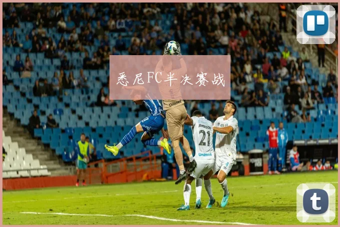 悉尼FC半决赛战