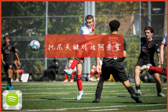 托尼关键对话阿劳霍