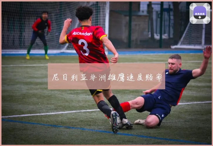 尼日利亚非洲雄鹰速度赔率