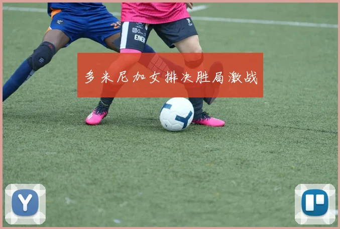 多米尼加女排决胜局激战
