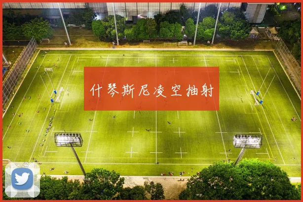 什琴斯尼凌空抽射