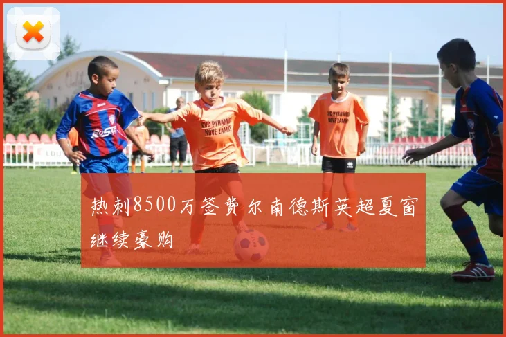 热刺8500万签费尔南德斯英超夏窗继续豪购