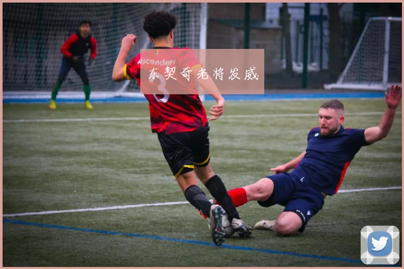 东契奇老将发威