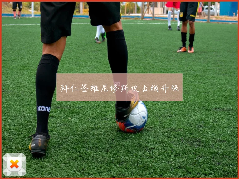 拜仁签维尼修斯攻击线升级