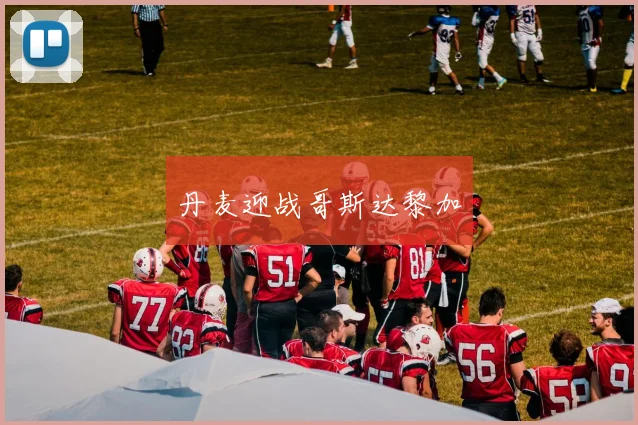 丹麦迎战哥斯达黎加