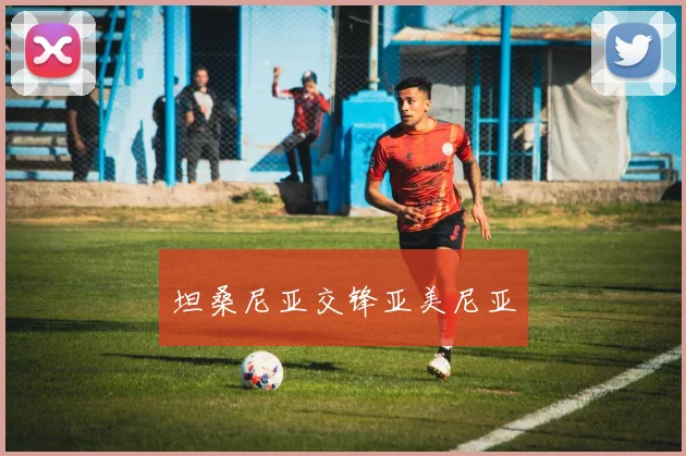 坦桑尼亚交锋亚美尼亚