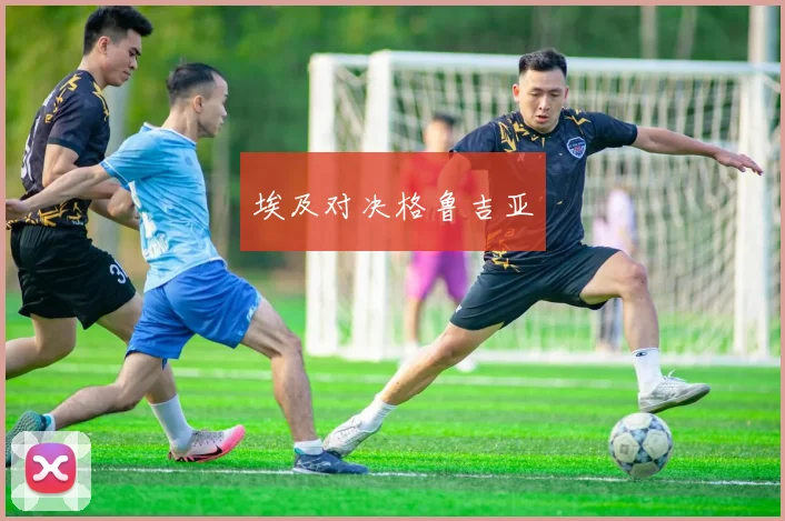 埃及对决格鲁吉亚