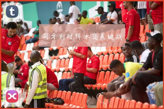 匈牙利对阵冰岛关键战
