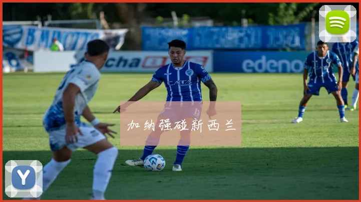加纳强碰新西兰