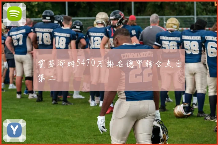 霍芬海姆5470万排名德甲转会支出第二