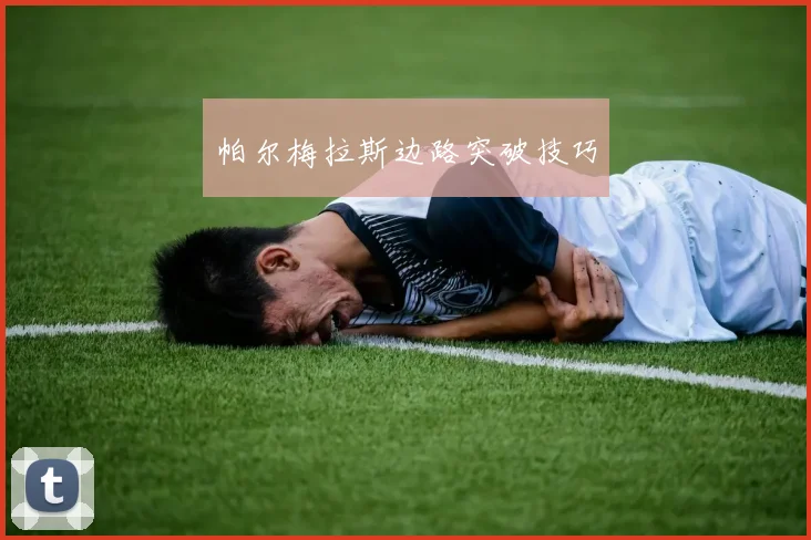 帕尔梅拉斯边路突破技巧
