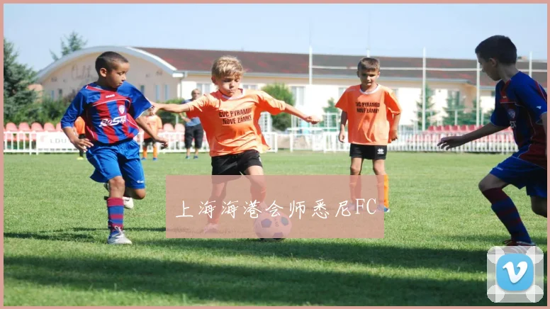 上海海港会师悉尼FC