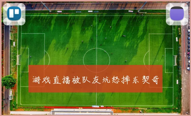 游戏直播被队友坑怒摔东契奇