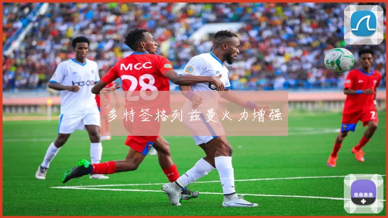 多特签格列兹曼火力增强