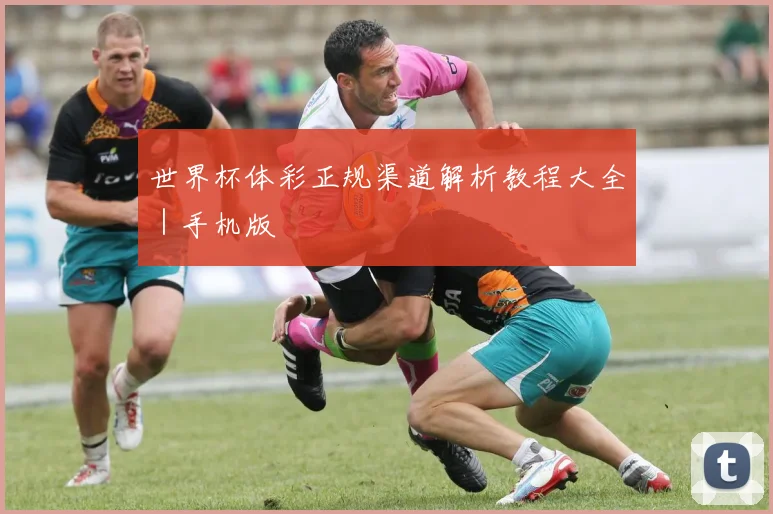 世界杯体彩正规渠道解析教程大全｜手机版