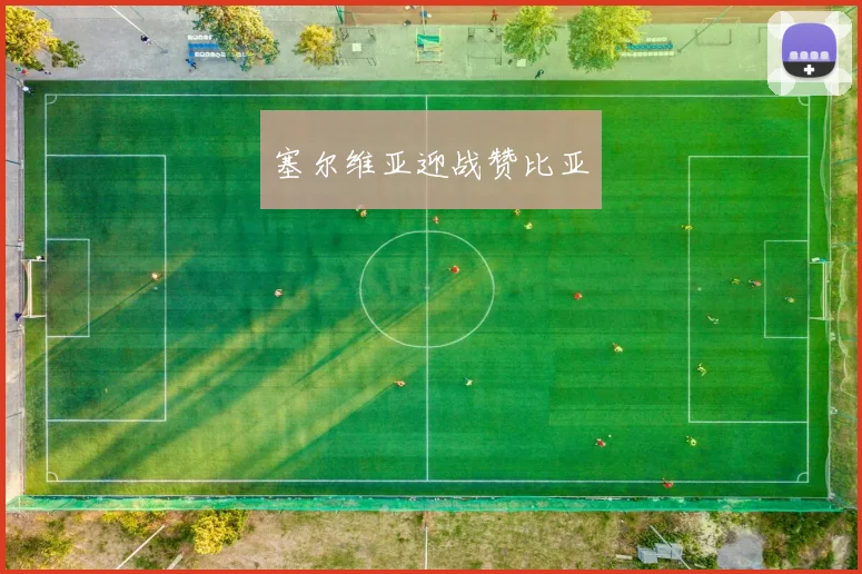塞尔维亚迎战赞比亚
