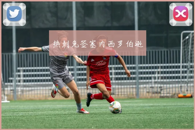 热刺免签塞内西罗伯逊