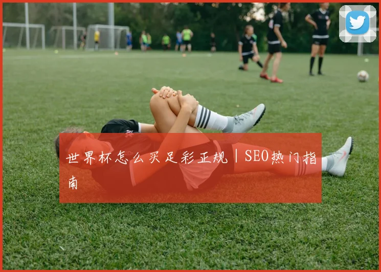 世界杯怎么买足彩正规｜SEO热门指南