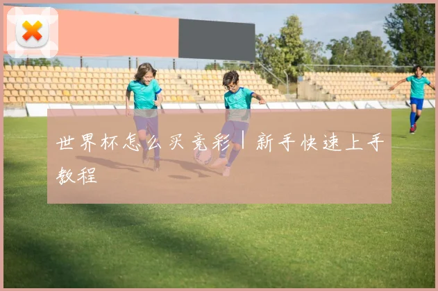 世界杯怎么买竞彩｜新手快速上手教程
