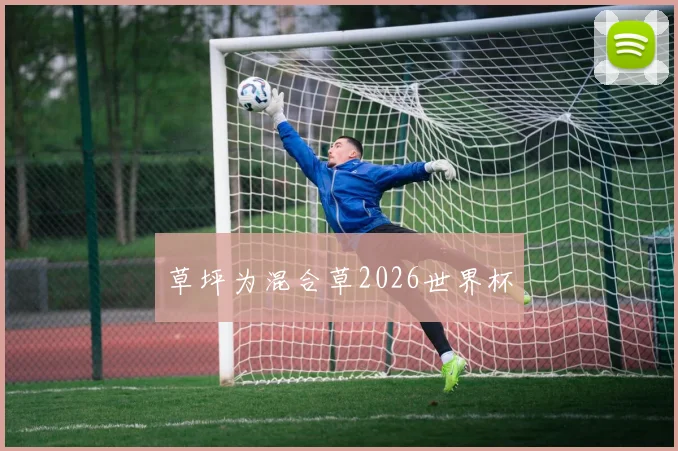 草坪为混合草2026世界杯