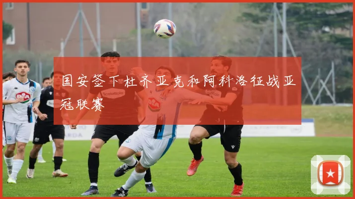 国安签下杜齐亚克和阿科洛征战亚冠联赛