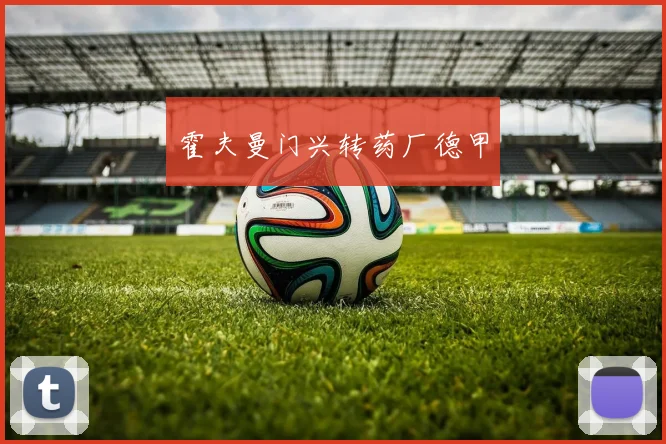 霍夫曼门兴转药厂德甲