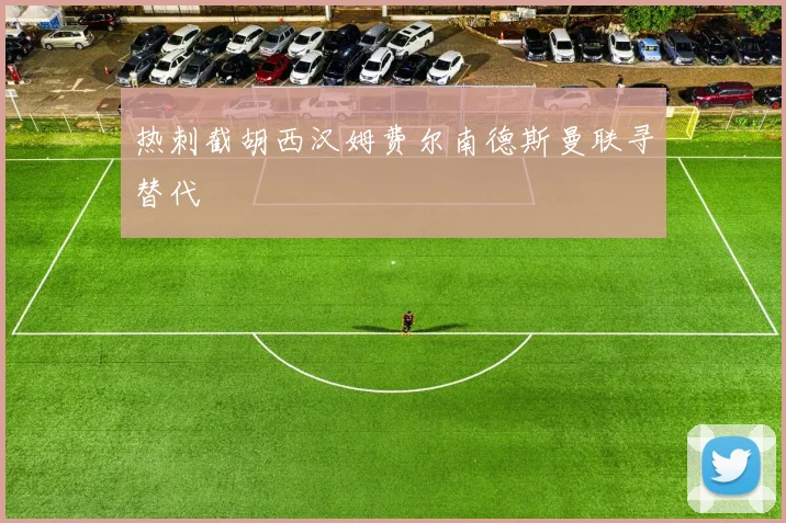 热刺截胡西汉姆费尔南德斯曼联寻替代
