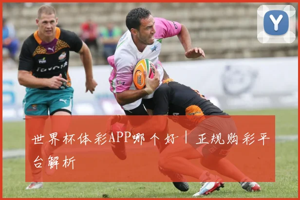世界杯体彩APP哪个好｜正规购彩平台解析