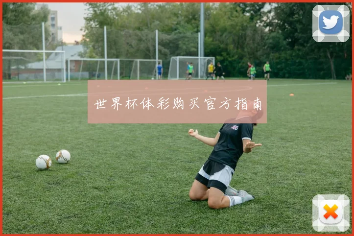 世界杯体彩购买官方指南