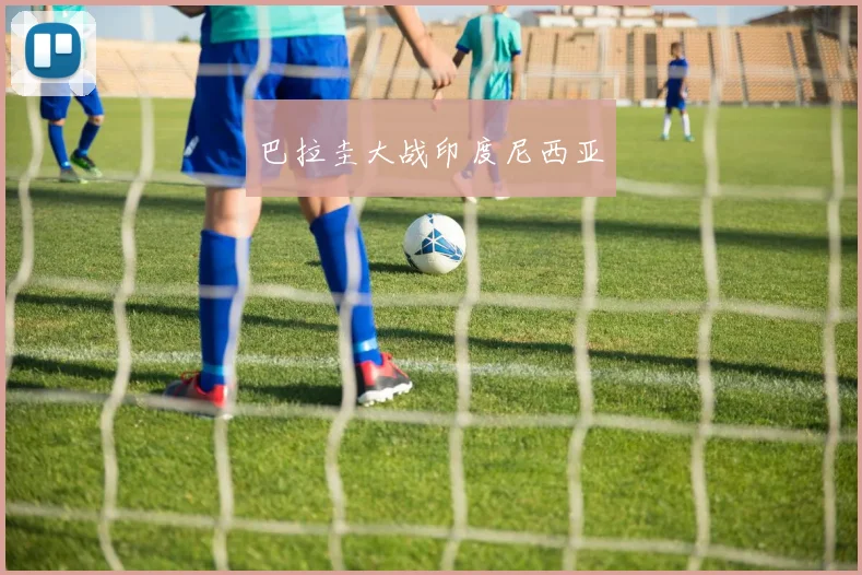 巴拉圭大战印度尼西亚