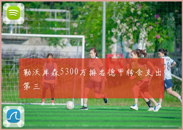 勒沃库森5300万排名德甲转会支出第三