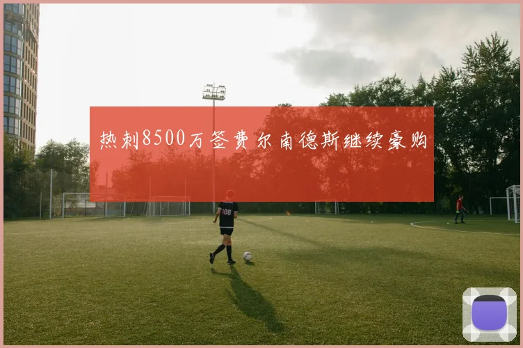 热刺8500万签费尔南德斯继续豪购
