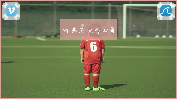 哈弗茨状态回勇